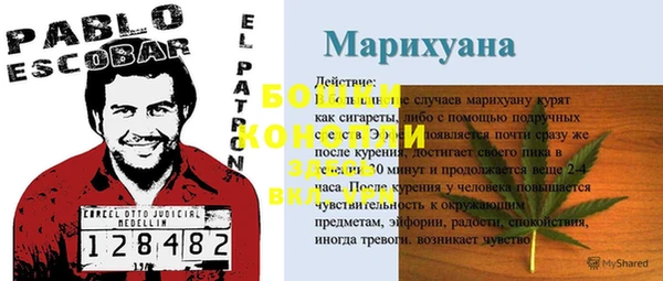 ПСИЛОЦИБИНОВЫЕ ГРИБЫ Новодвинск